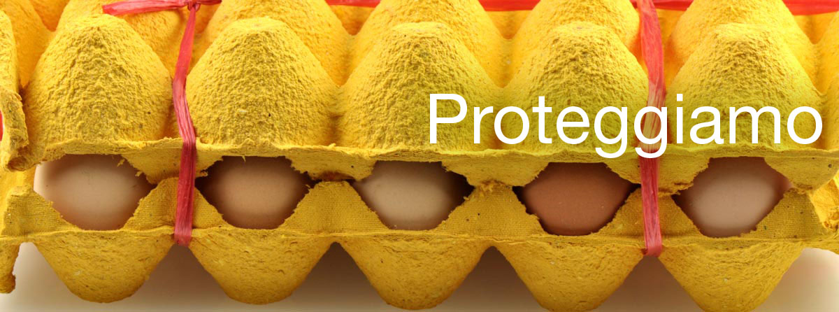 http://www.dreamstime.com/stock-photography-packing-eggs-image20313382